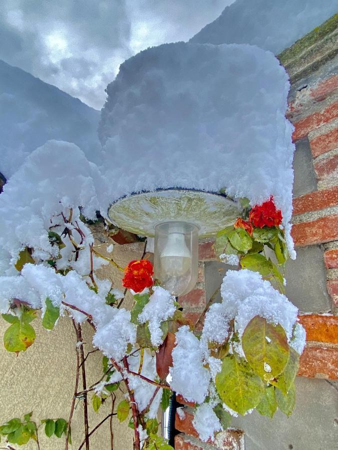 Villa Giulia - Marguareis Peveragno Extérieur photo